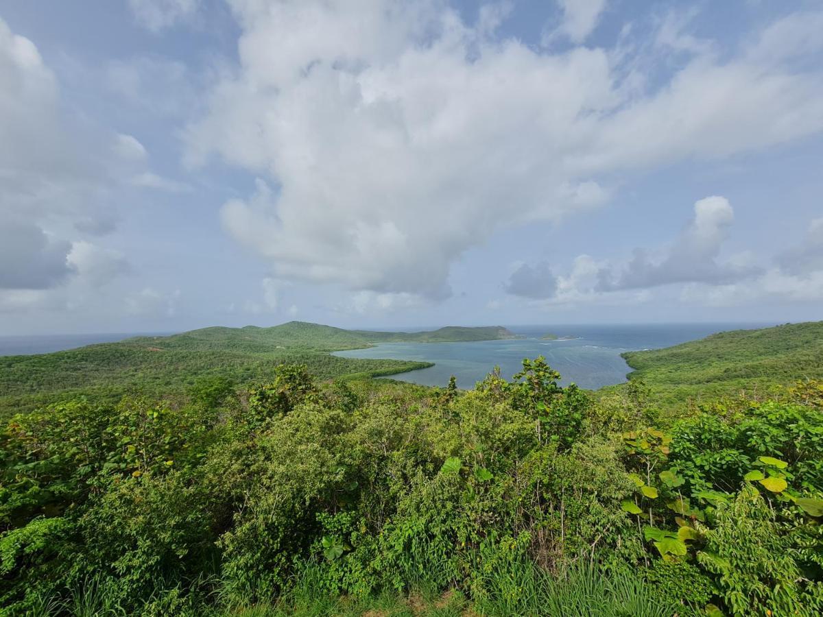 Studio Des Flots - Tartane Martinique Trinite  Esterno foto