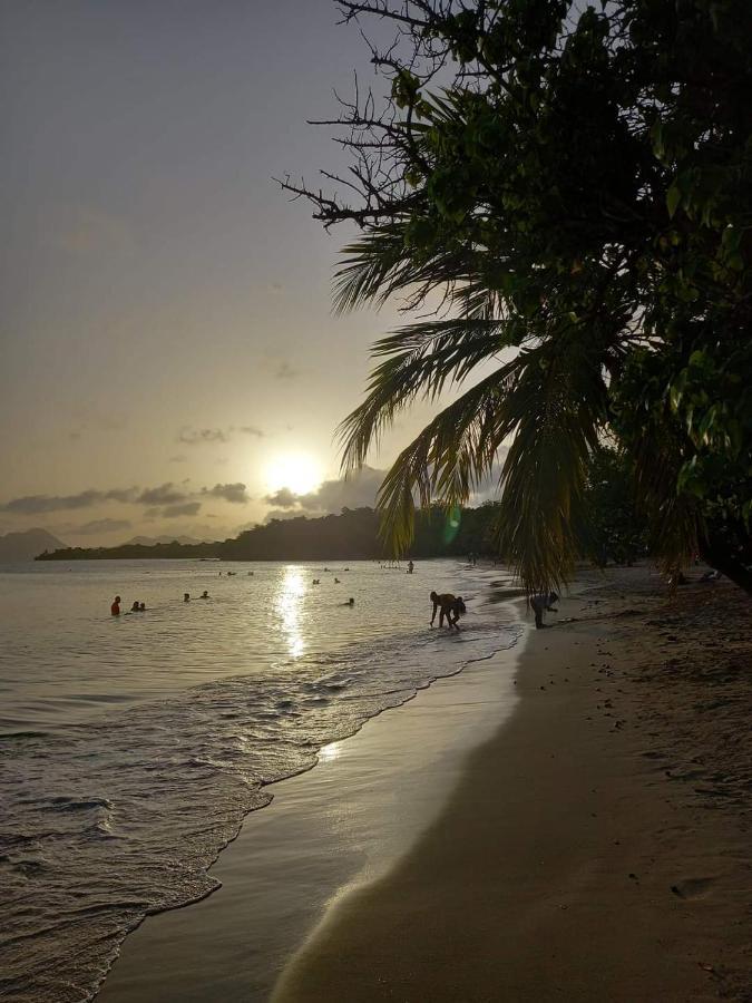 Studio Des Flots - Tartane Martinique Trinite  Esterno foto