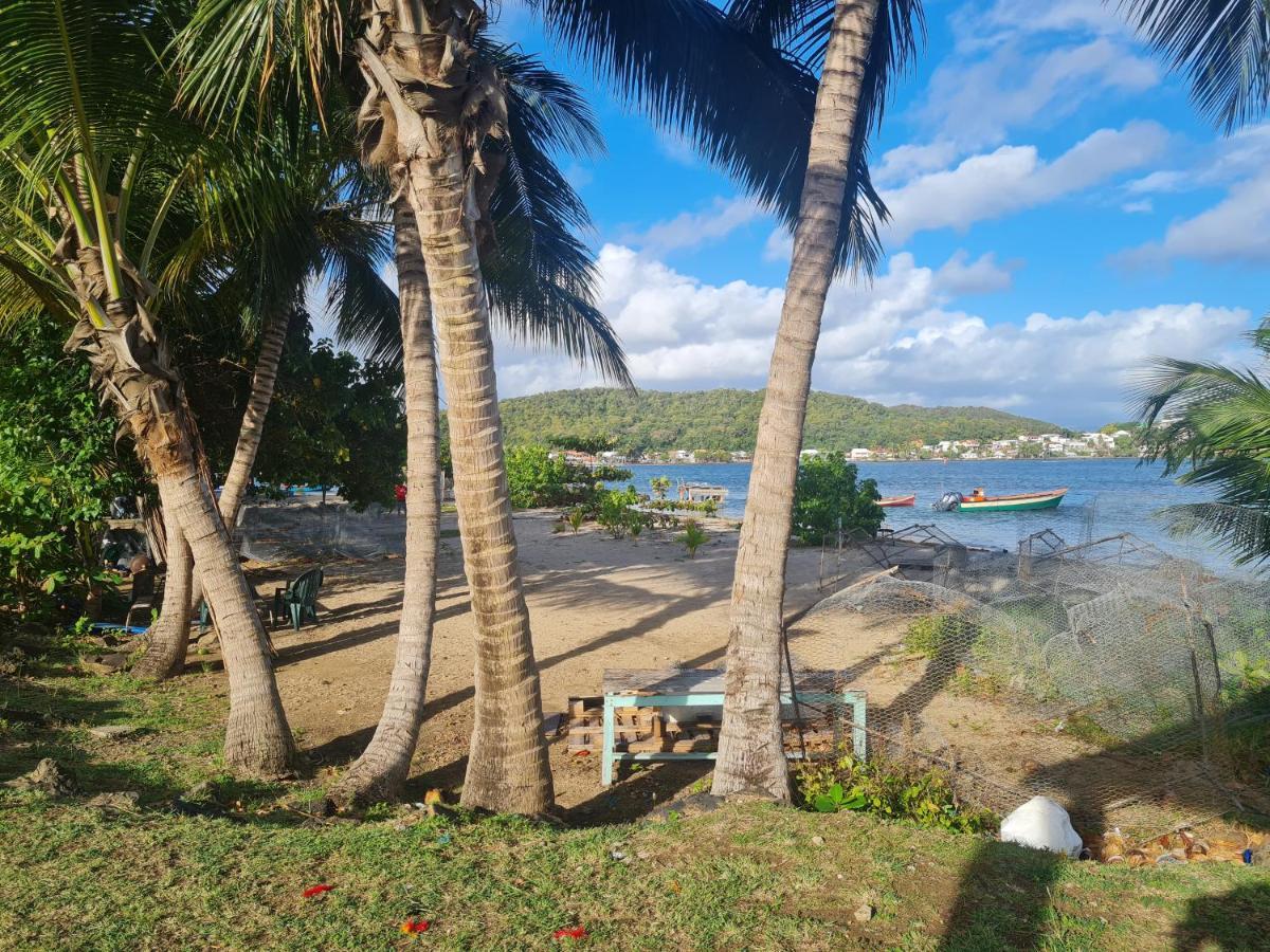 Studio Des Flots - Tartane Martinique Trinite  Esterno foto